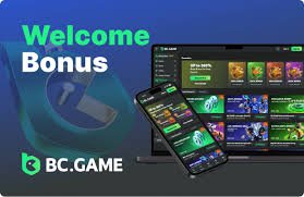 Explore Exciting Gaming Opportunities at BC.Game Casino