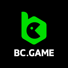Explore Exciting Gaming Opportunities at BC.Game Casino